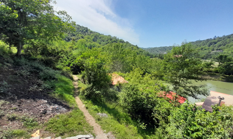 اجاره کلبه سوئیسی جنگلی آسایش
