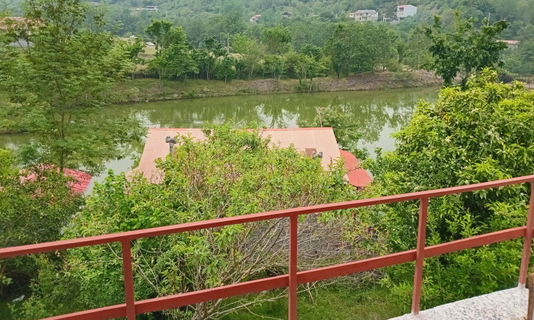 اجاره کلبه سوئیسی جنگلی آسایش