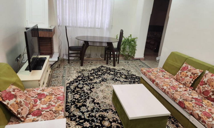 اجاره آپارتمان دو خوابه هانا