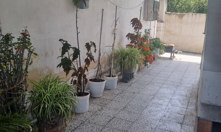 اجاره ویلا دو خواب ستاره طلایی