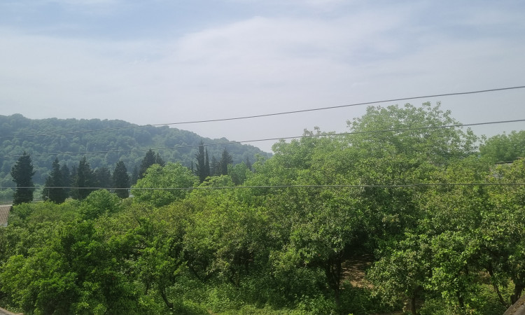 اجاره ویلا دو خواب ستاره طلایی