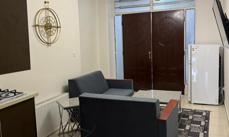 اجاره آپارتمان تک خوابه فردوسی (دی)