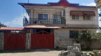 محمود أميري