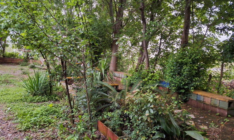 رزرو بوم گردی گل یخ واحد سنتی