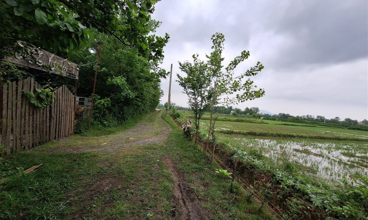 رزرو بوم گردی گل یخ واحد سنتی