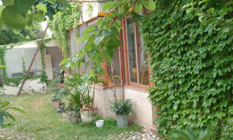 اجاره ویلا تک خواب همیشه بهار