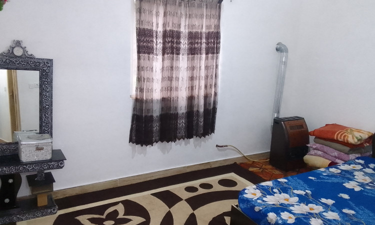 اجاره ویلا جنگلی تک خواب ماسوله