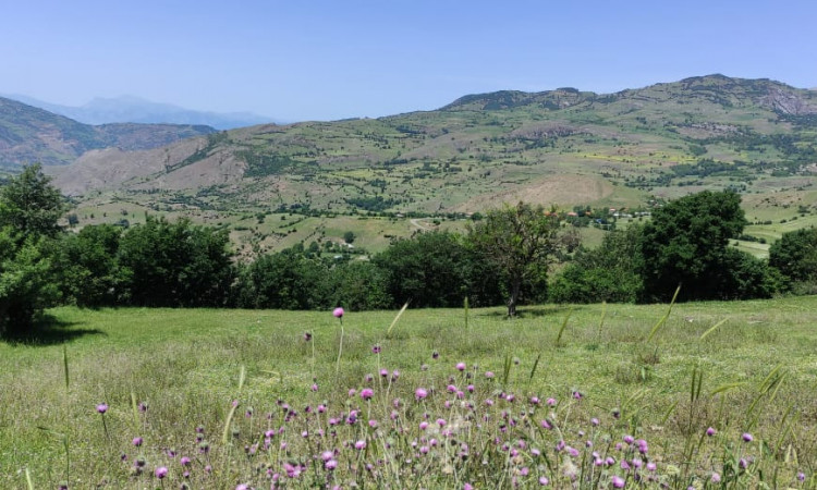 اجاره ویلا باغ تک خواب بره سر