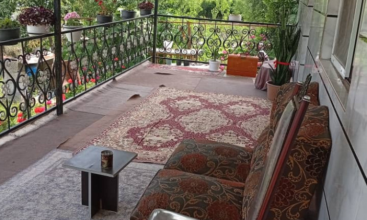 اجاره ویلا جنگلی یاس فردین