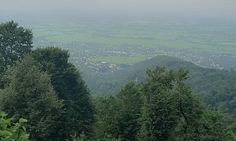 اجاره ویلا جنگلی یاس فردین