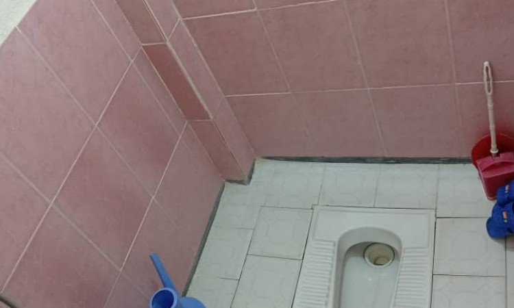اجاره ویلا جنگلی یاس فردین