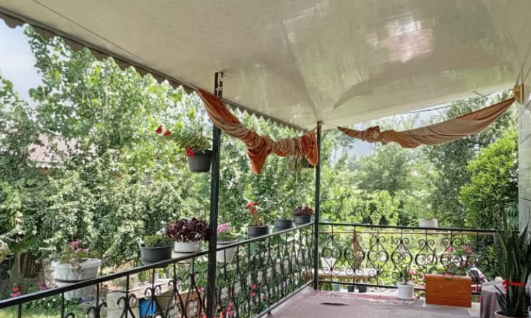 اجاره ویلا جنگلی یاس فردین
