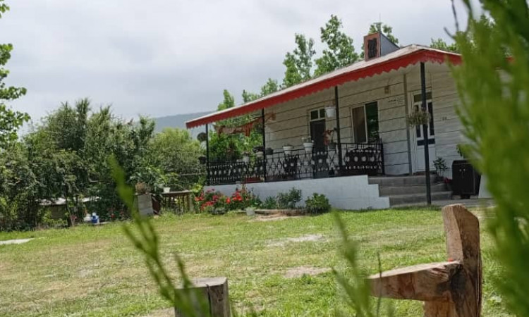 اجاره ویلا جنگلی یاس فردین