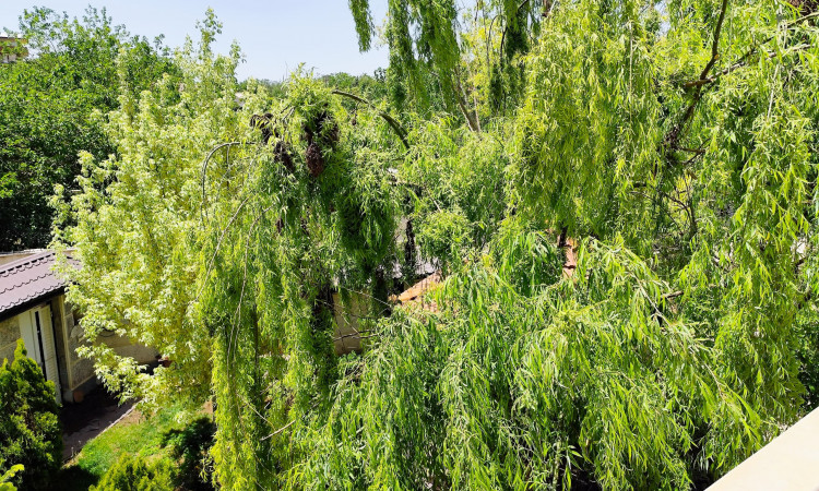 اجاره ویلا استخر آب گرم شاه‌ نشین