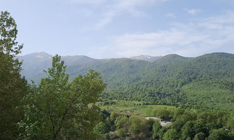 اجاره ویلا تک خواب سنگچال
