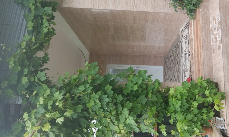 اجاره ویلای مبله جنگلی در لفور سوادکوه