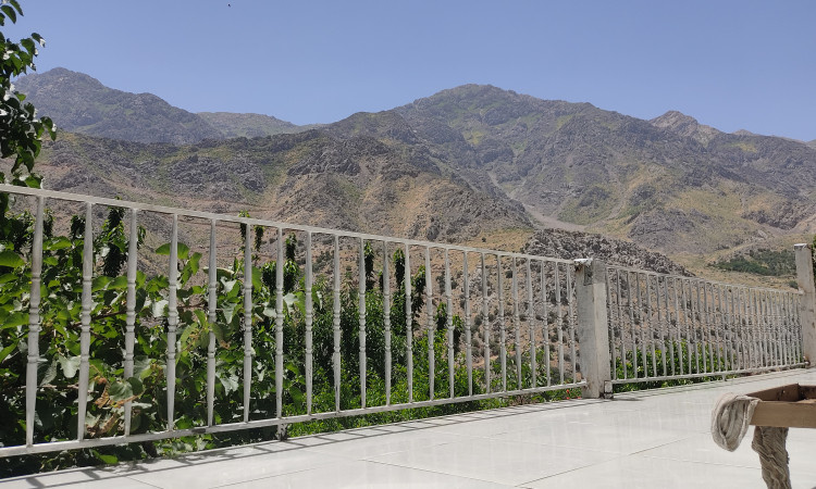 اجاره اپارتمان دو خواب اورامان