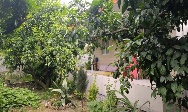 اجاره ویلا یک خواب باغ خونه سبز
