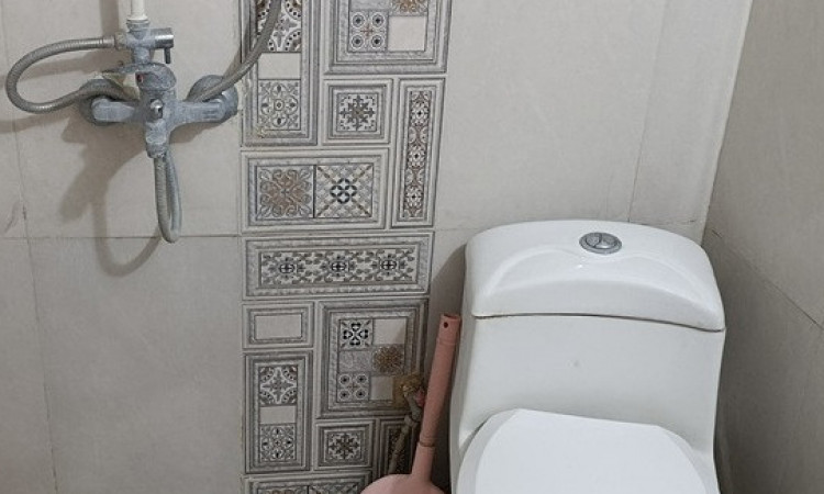 اجاره ویلا یک خواب باغ خونه سبز