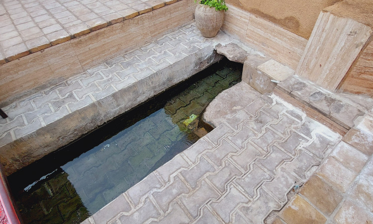 اجاره سویئت یوتوچی