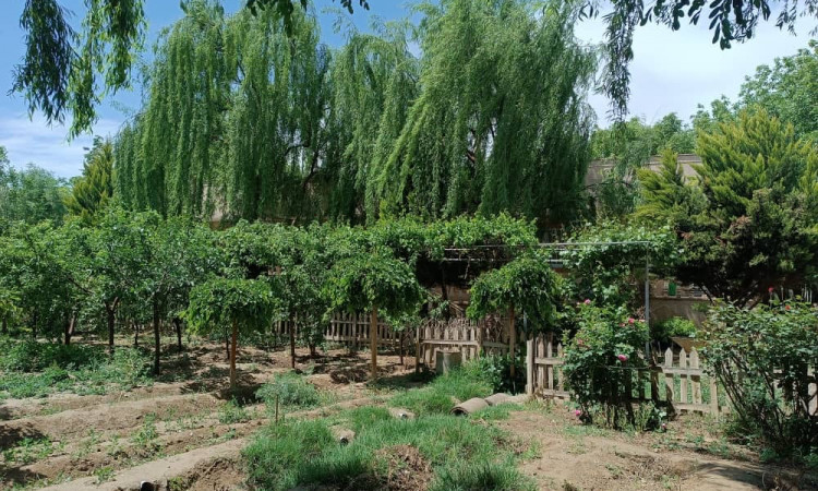 اجاره ویلای سرسبز استخر دار هشتگرد