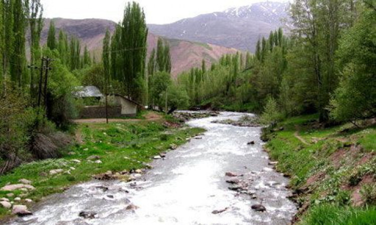 اجاره بومگردی آبنوس2خوابه - طالقان