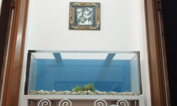 اجاره ویلا دو خواب گندم