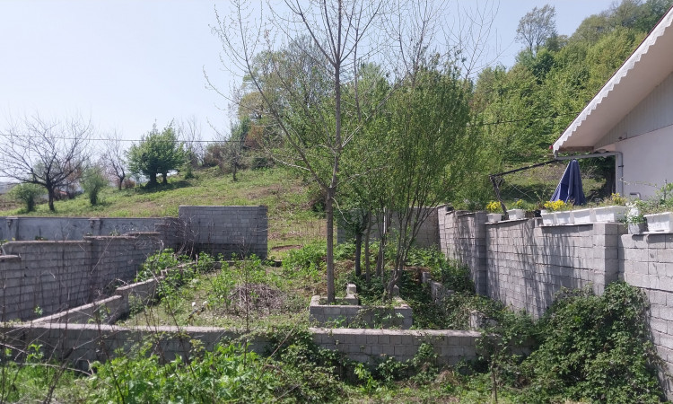 اجاره ویلا دربستی جنگلی زارعی