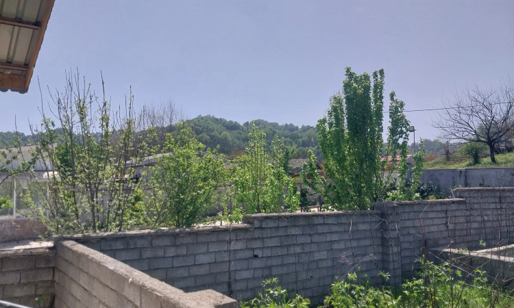 اجاره ویلا دربستی جنگلی زارعی