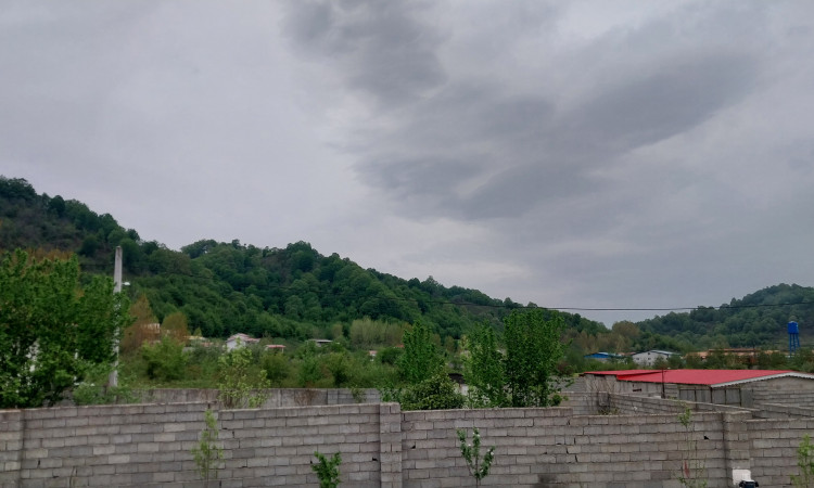 اجاره ویلا دربستی جنگلی زارعی