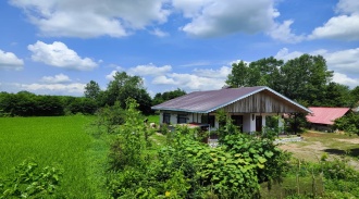 اجاره ویلا جنگلی دو خواب تَلار سیاهکل