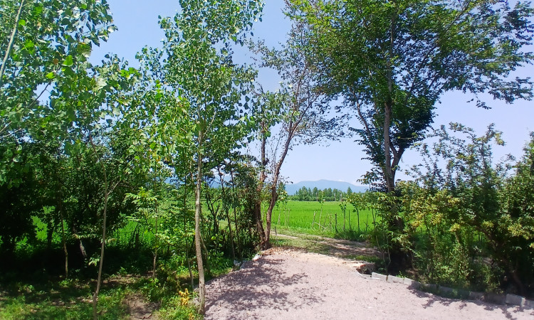 اجاره کلبه سوئیسی دوبلکس مونترو
