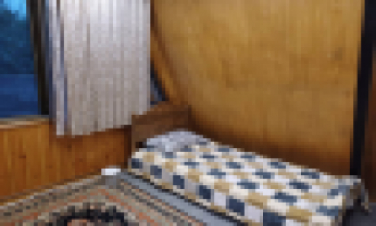تأجير كوخ دوبلكس سويسري