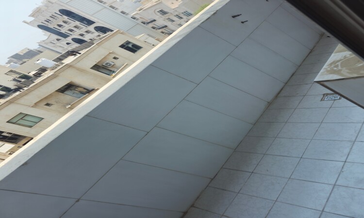 اجاره آپارتمان نقلی مرکز شهر بندرعباس