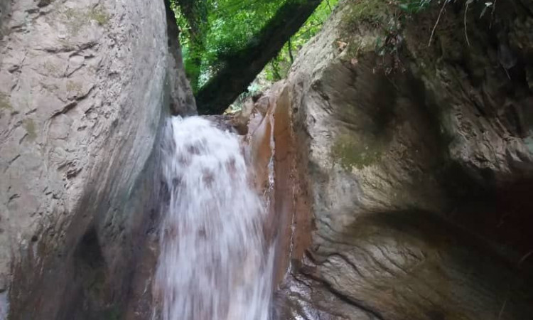 رزرو بوم گردی پونه آرام (بلوط)