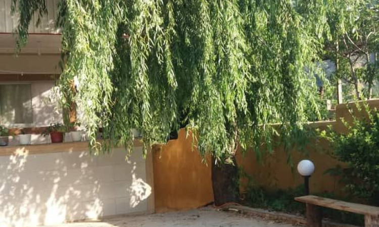 رزرو بوم گردی پونه آرام (بالا شرقی)
