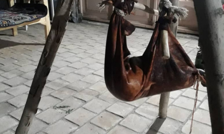 اجاره خانه باغ ویلایی ابوزید آباد