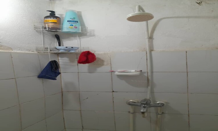 اجاره آپارتمان تک خواب عمادی