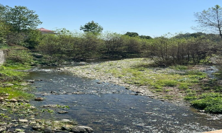 اجاره ویلا دو خواب ابریشم