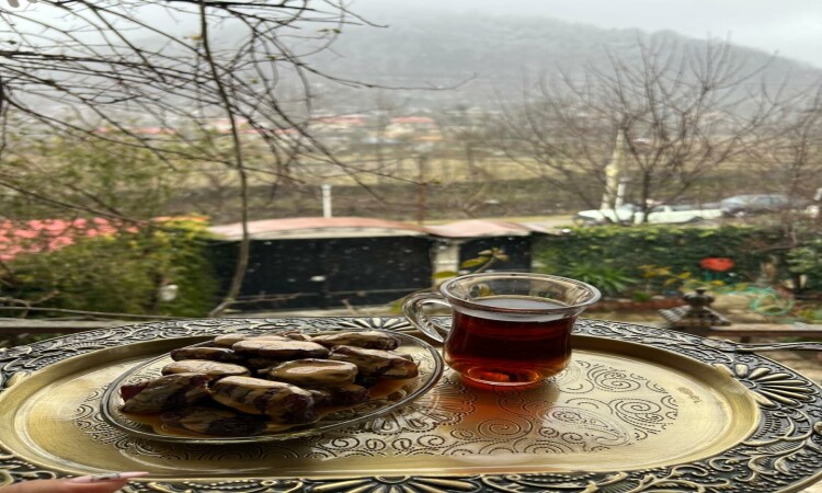 اجاره ویلا دو خواب ابریشم