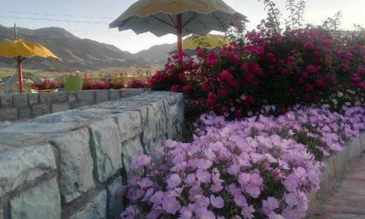 کلبه سه تخته