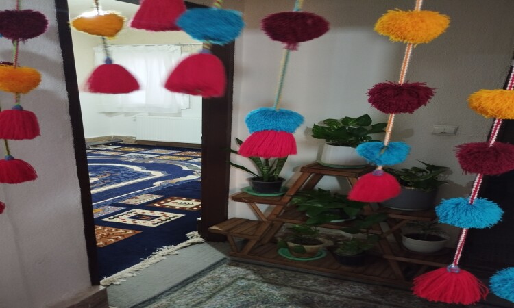 مستأجر شقة محسن الفاخرة