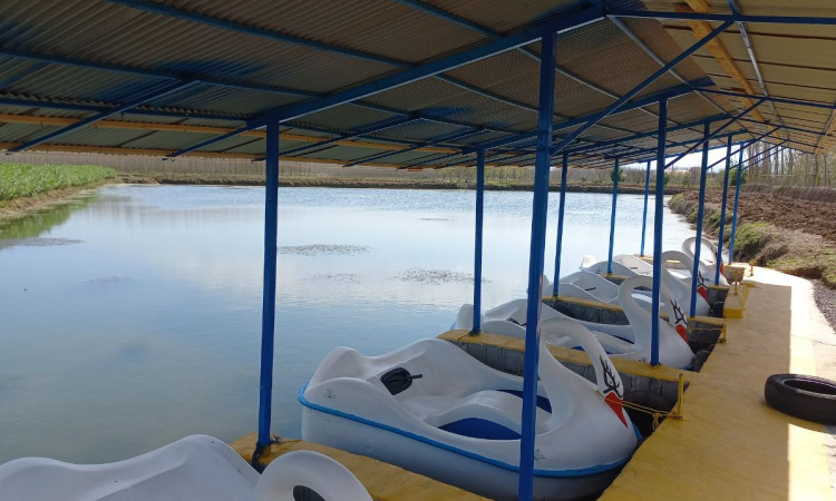 رزرو ویلا باغ با دریاچه و قایق پدالی دربست