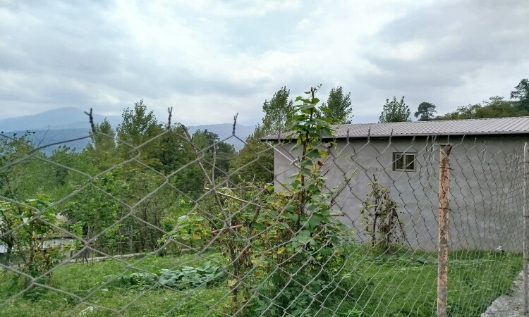اجاره ویلا جنگلی کامیار
