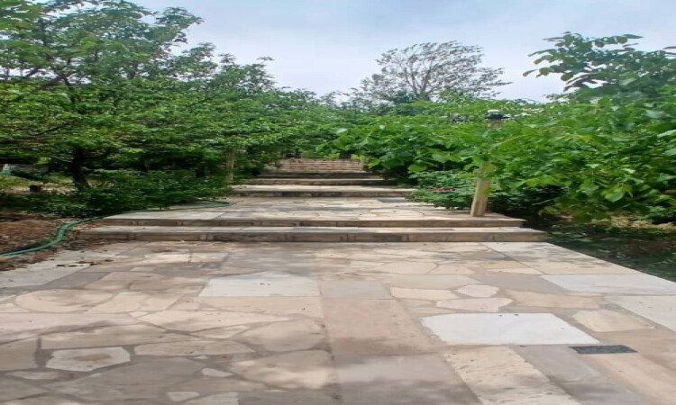 اجاره ویلا باغ استخر دار آنیا