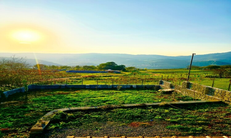 اجاره کلبه چوبی سیمبی