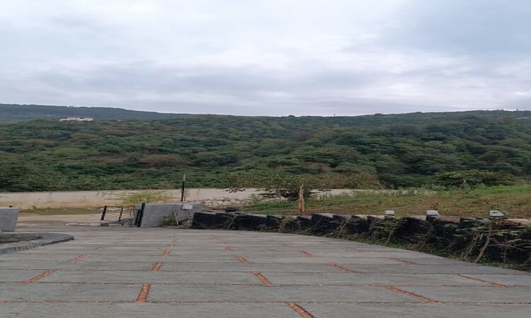 اجاره کلبه چوبی جنگلی تک خواب