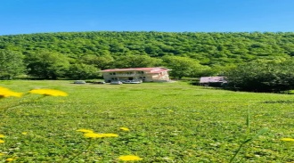 اجاره ویلا دوطبقه جنگلی تالش