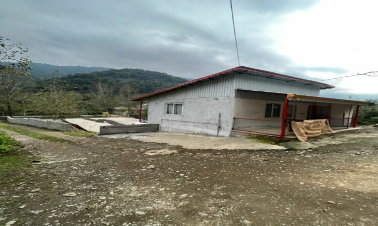 اجاره ویلا نقلی جنگلی