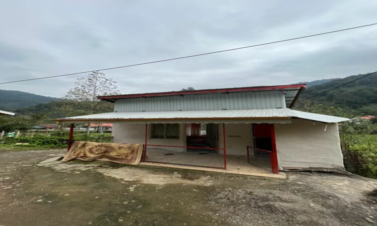 اجاره ویلا نقلی جنگلی